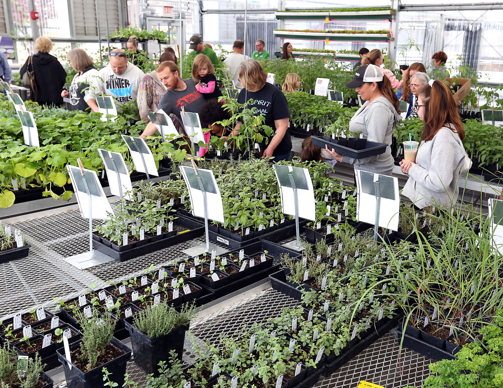 Plant Sale 2018